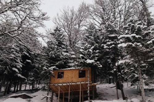 Photo 6 - La cabane dans les arbres