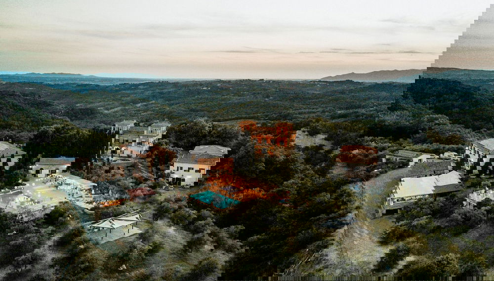 Primary image