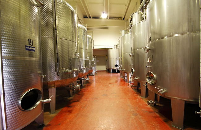 Agriturismo Borgo delle Vigne - Foto 12