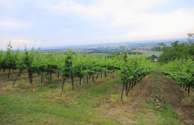 Agriturismo Borgo delle Vigne - Foto 34