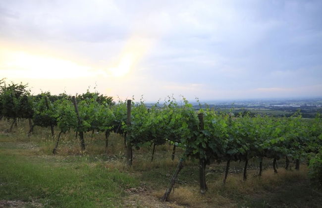 Agriturismo Borgo delle Vigne - Foto 31