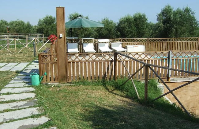 Agr. La Casa Della Lavanda - Il Rustico - Foto 18