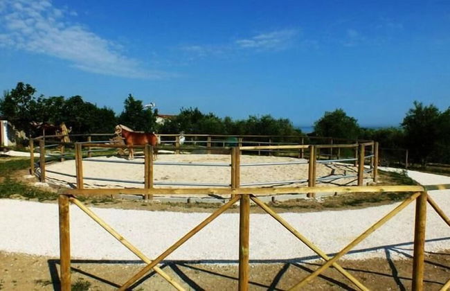 Agr. La Casa Della Lavanda - Il Rustico - Foto 24