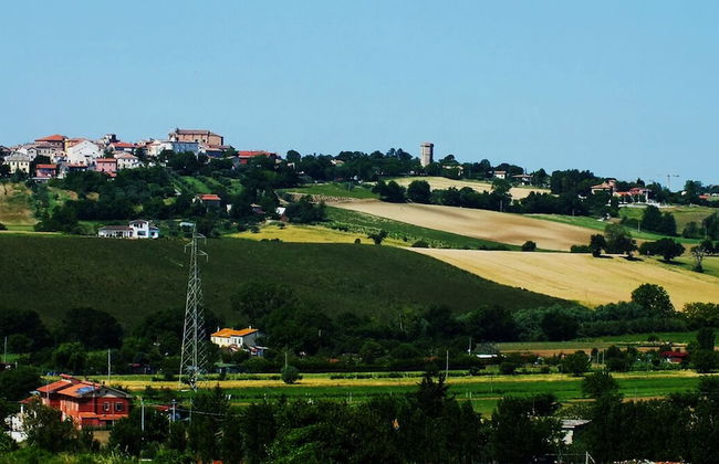 Agr. La Casa Della Lavanda - Il Rustico - Foto 23