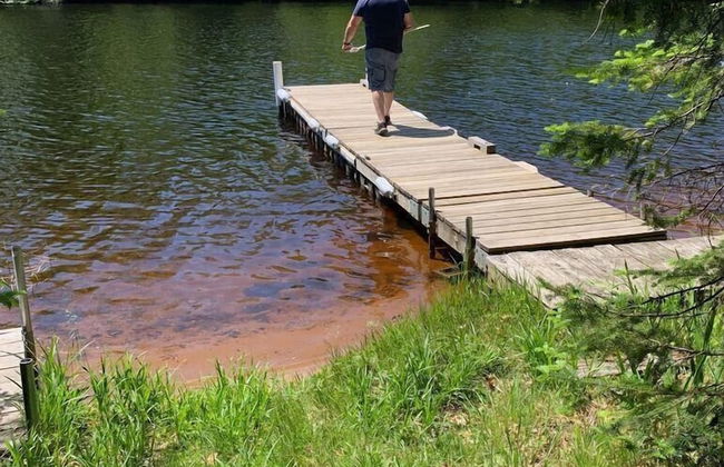 Little House In The Big Woods - Foto 12