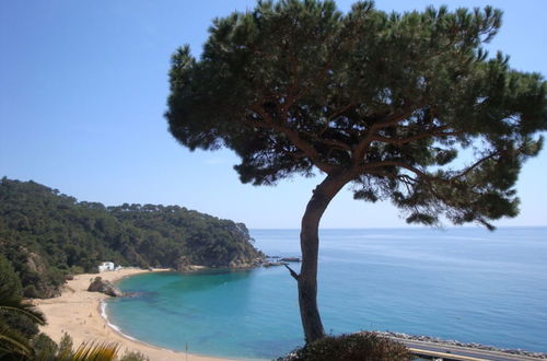 Photo 19 - 107523 - House in Cala Canyelles