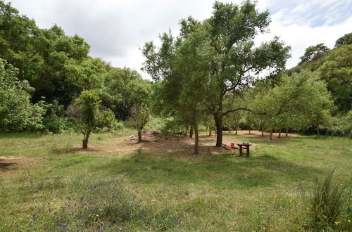 Photo 10 - Quiet & Cottage in Estate Casas da Cerca near Troviscais