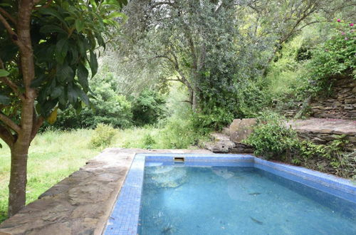 Photo 11 - Quiet & Cottage in Estate Casas da Cerca near Troviscais