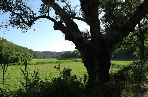 Photo 20 - Quiet & Cottage in Estate Casas da Cerca near Troviscais