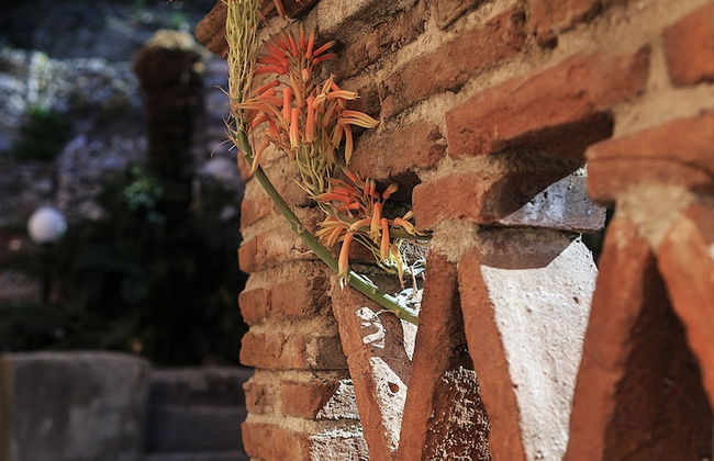 Villa degli Ulivi - Foto 53