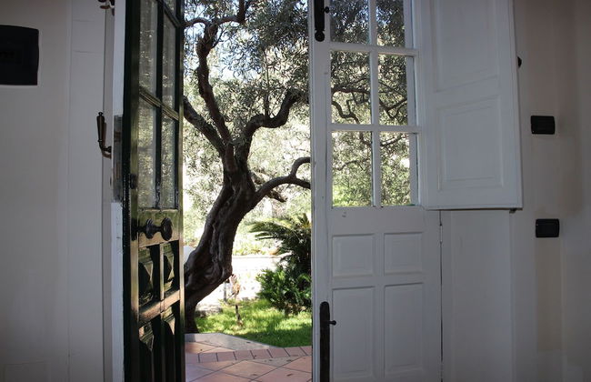 Villa degli Ulivi - Foto 3