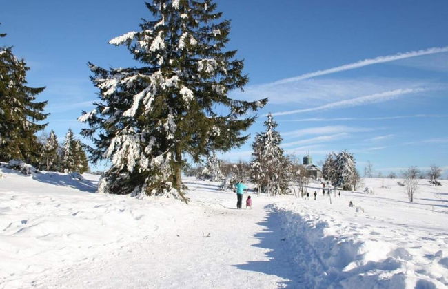 Fabulous Holiday Home in Olsberg near Ski Area - Foto 27