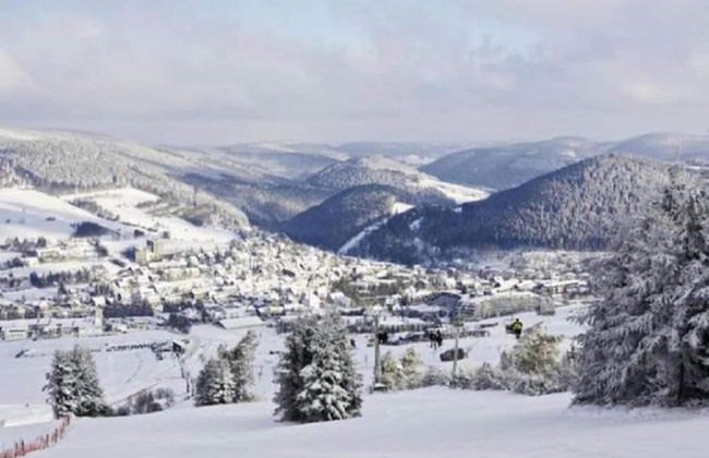 Chalet in Sauerland Near Winterberg Ski Area - Foto 29