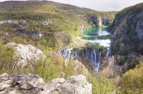 Photo 19 - Spacious Apartment in Dalmatia near Forest