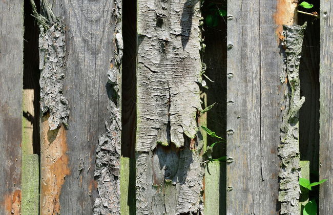 Stilvolle Wohnung in Stormbruch mit Garten - Foto 21