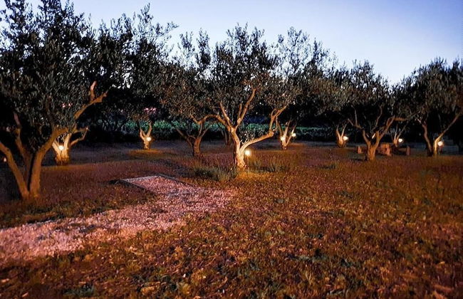 Holiday Home Olive Paradise - Foto 27