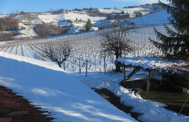 Agriturist Rupestr - Foto 34