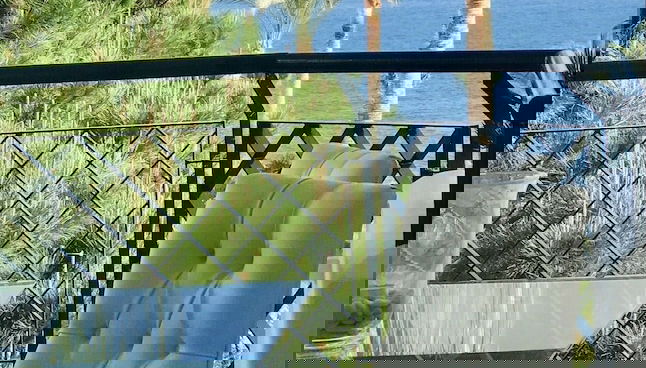 Image principale