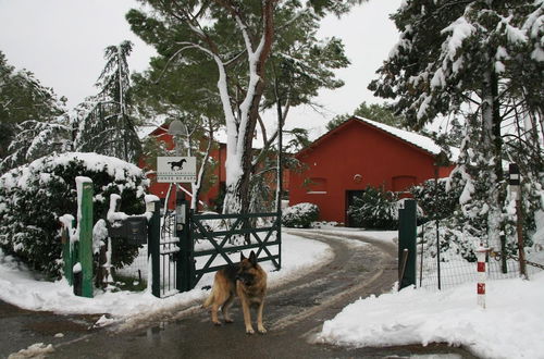 Photo 47 - Tenuta Agricola Fonte di Papa