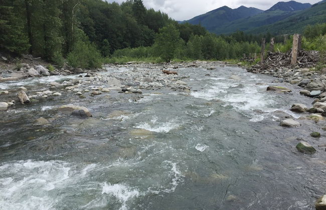 21GS - Log Cabin - Pets Ok - Sleeps 6 - Foto 15