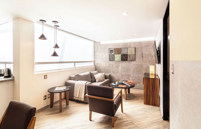 Grand Chapultepec Residencial - Foto 62