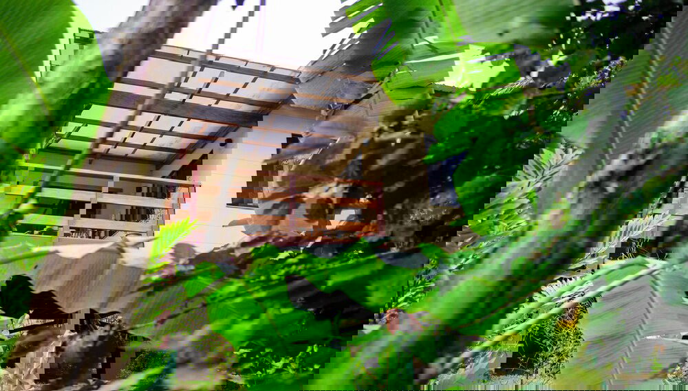 Imagem principal