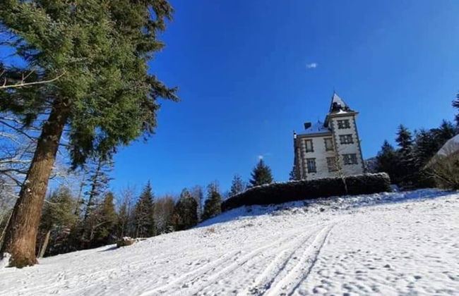 House in Vosges Near Forest and Hiking Trails - Foto 34