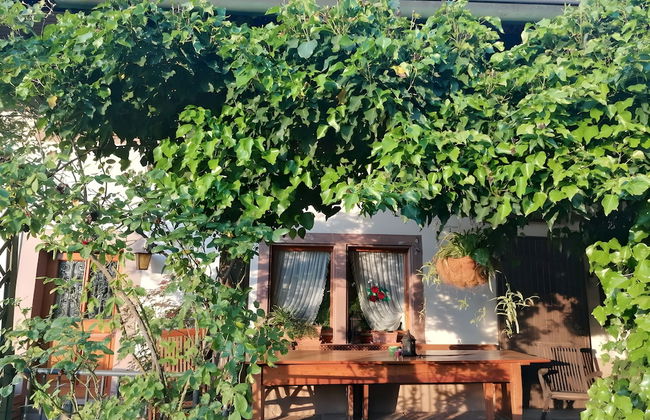 Holiday Apartment Cherry Blossom - Foto 12