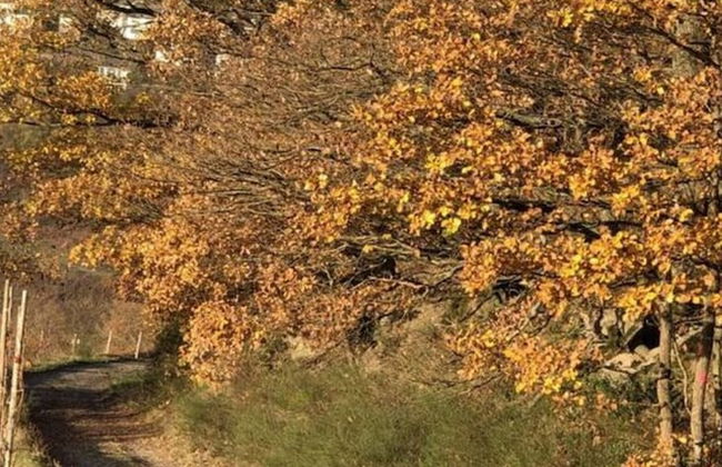 Uitzicht op de Wijngaard - Foto 18