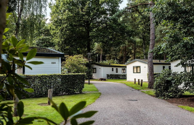Tidy Furnished Chalet With a Combi Microwave, in the Veluwe - Foto 17