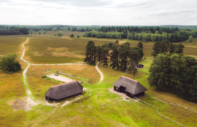 Tidy Furnished Chalet With a Combi Microwave, in the Veluwe - Foto 16