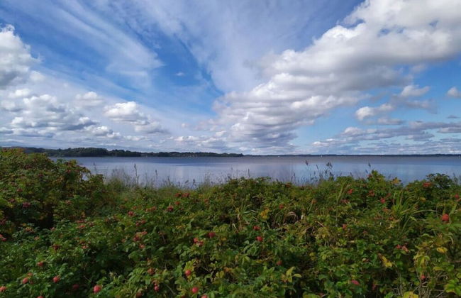 Farsighted Modern Retreat - Foto 17