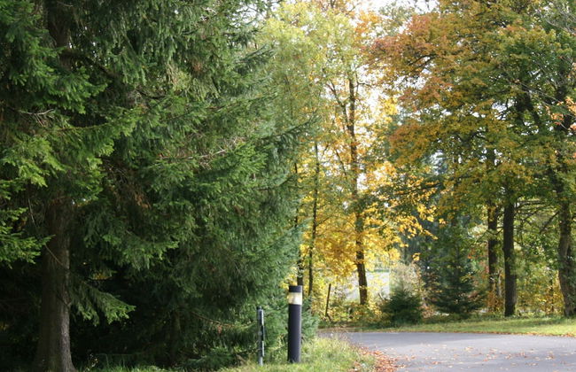 Detached Bungalow With Dishwasher, in a Green Area - Foto 49