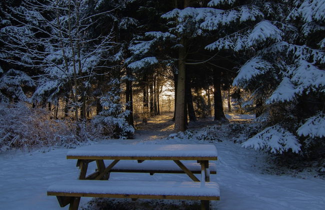Forestside Escape Near Lake - Foto 29