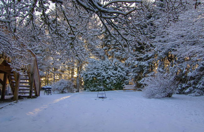 Forestside Escape Near Lake - Foto 31