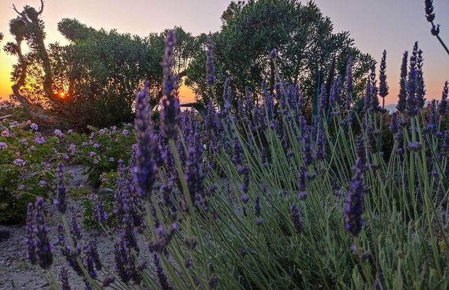 Bonora Country Houses - Askeri - Foto 26