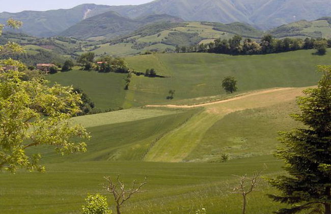 Countryside Comfort in Urbania - Foto 15