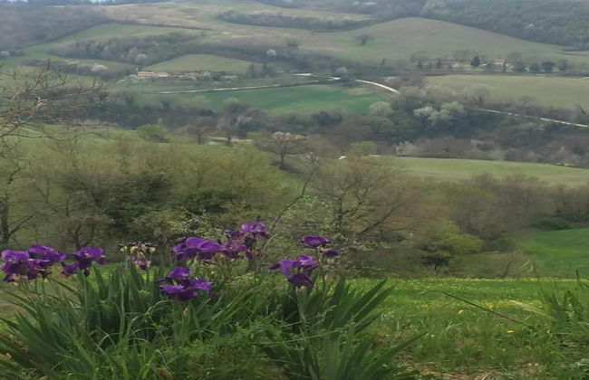 Countryside Comfort in Urbania - Foto 12