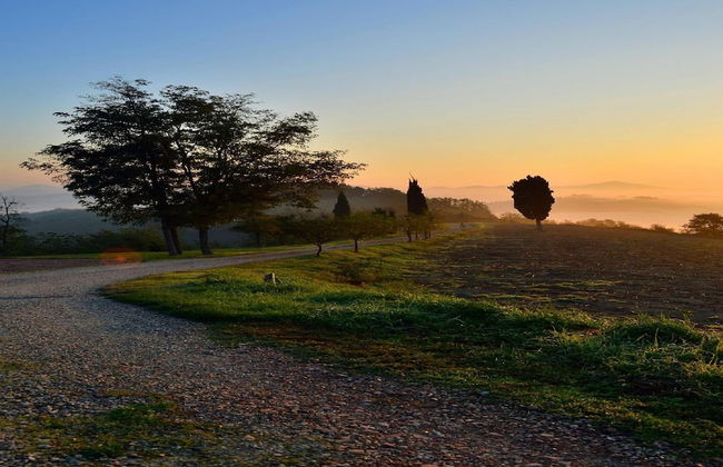 Countryside Comfort in Urbania - Foto 16