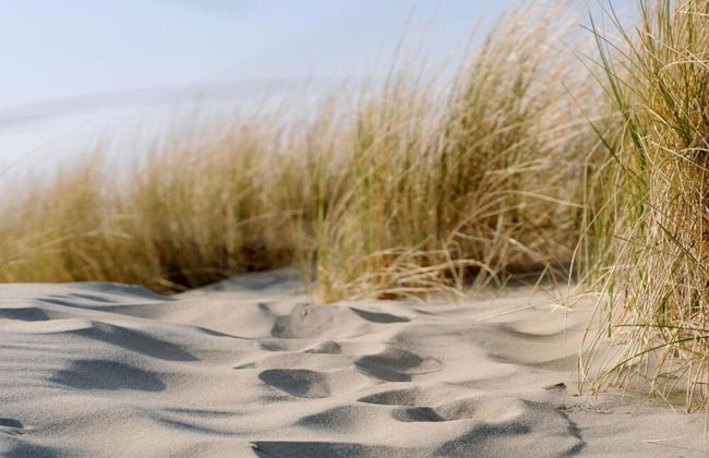 Holiday Home in Renesse Near the Beach - Foto 35