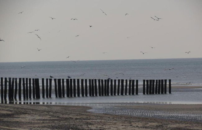 Holiday Home in Renesse Near the Beach - Foto 36