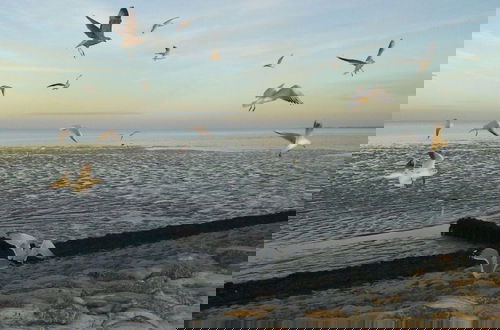 Photo 19 - Dyke Space 50 m to the Beach sea