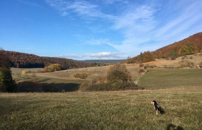 Holiday Home Tachbachtal - Foto 10
