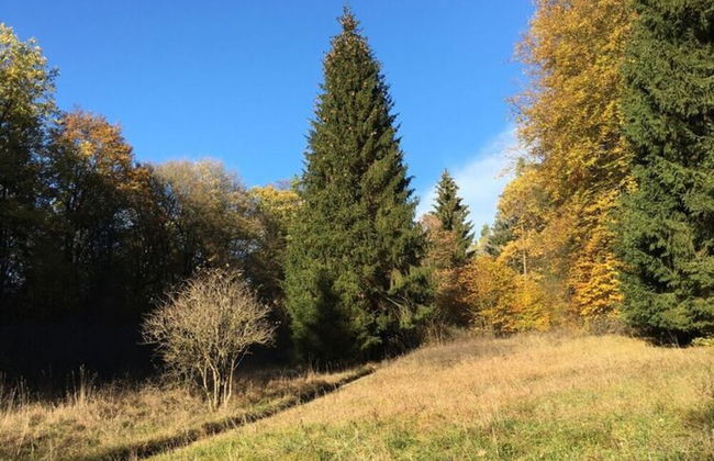 Holiday Home Tachbachtal - Foto 9