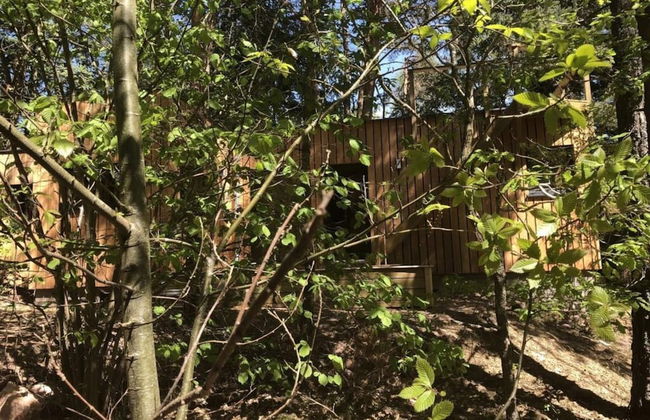 Holiday Home Under the Trees - Foto 34