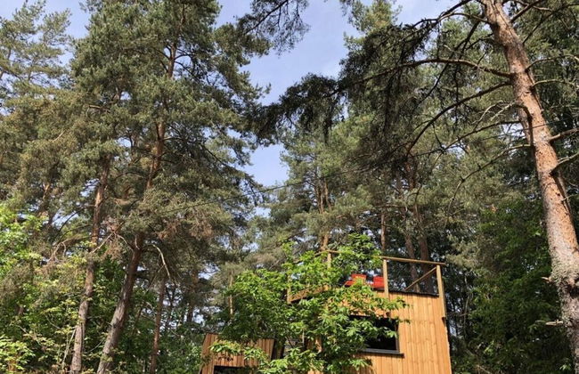 Holiday Home Under the Trees - Foto 18