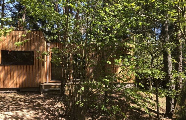 Holiday Home Under the Trees - Foto 17