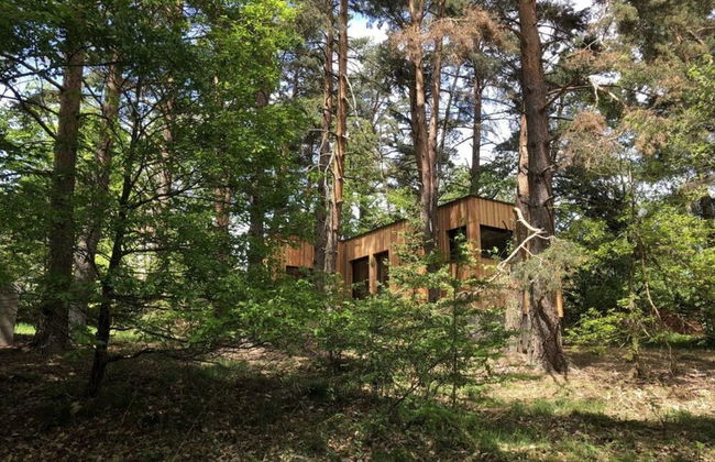 Holiday Home Under the Trees - Foto 29