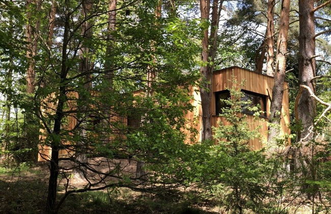 Holiday Home Under the Trees - Foto 23