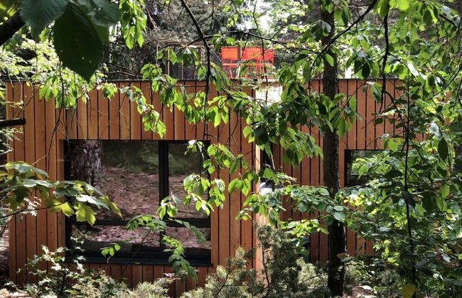 Holiday Home Under the Trees - Foto 16